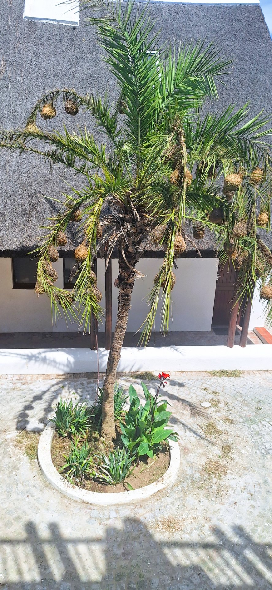 1 Bedroom Property for Sale in Witsand Western Cape